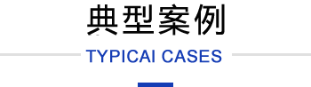 典型案例