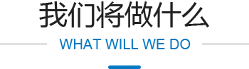 我們將做什么